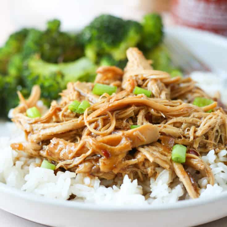Slow Cooker Teriyaki Chicken