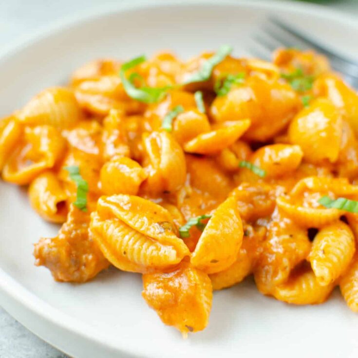 One Pot Creamy Shells and Sausage