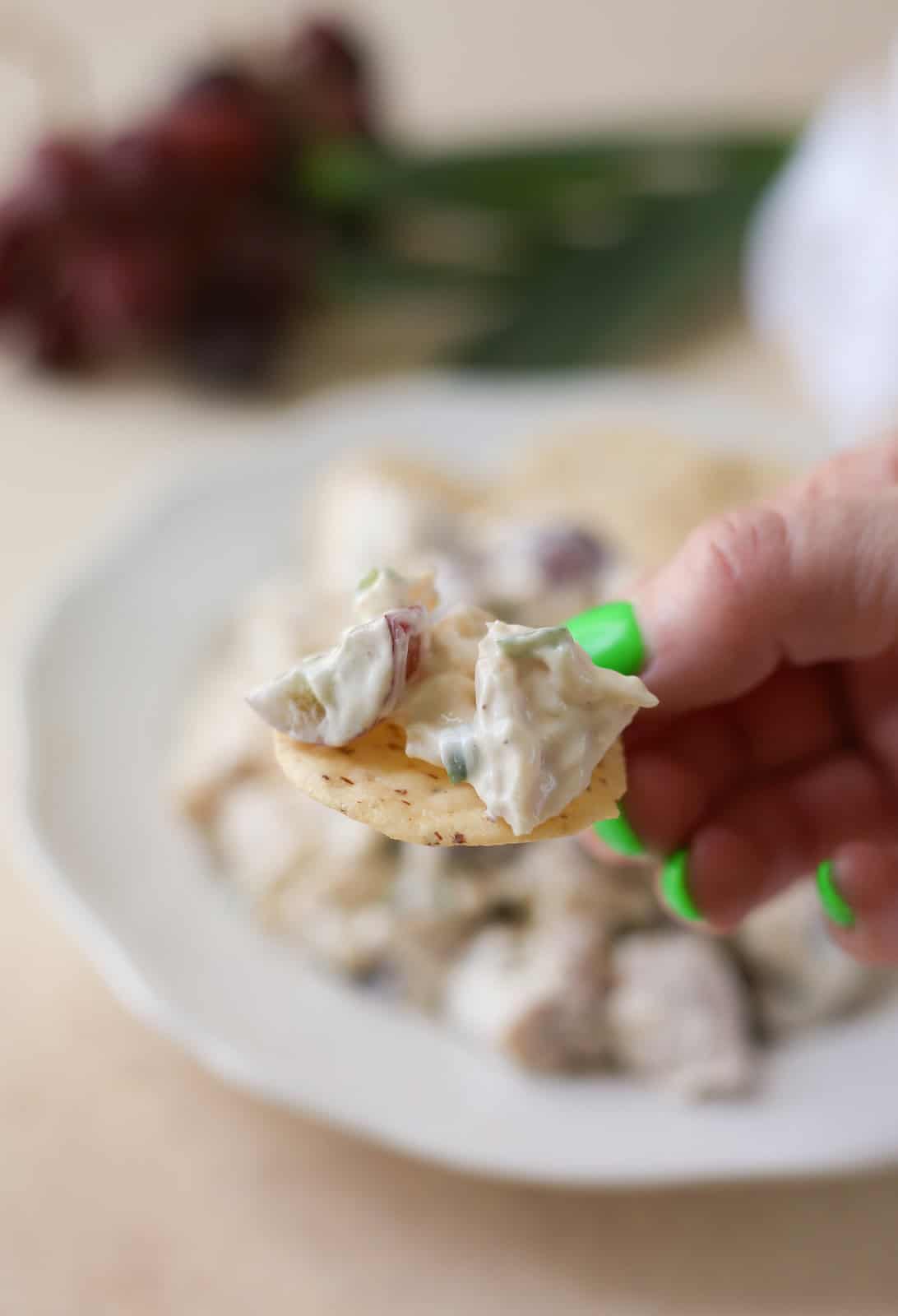 Chicken salad with grapes served on a cracker